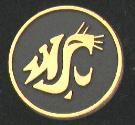 Golden cougar head on black pin, with a raised gold edging.